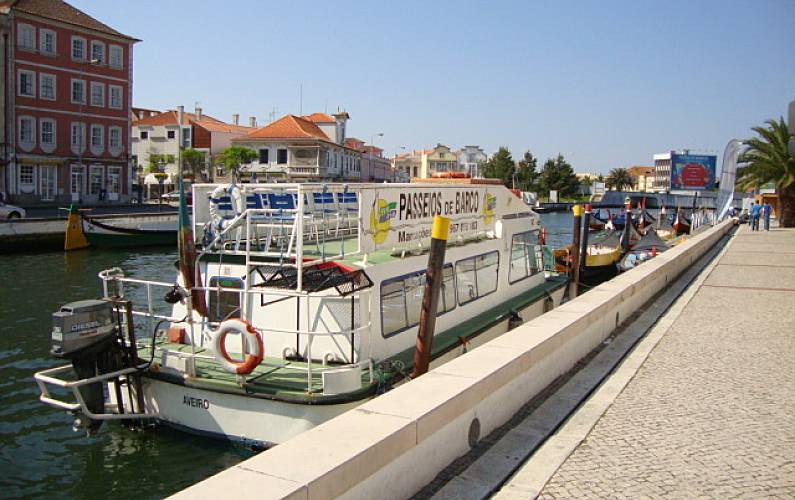 T2 Actividades próximas Aveiro Ílhavo Apartamento - Actividades próximas