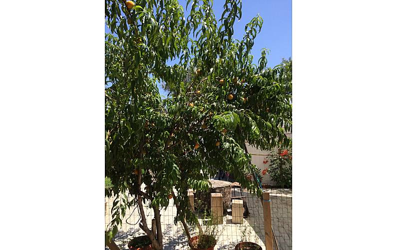 Casa Évora Montemor-o-Novo Villa rural - 