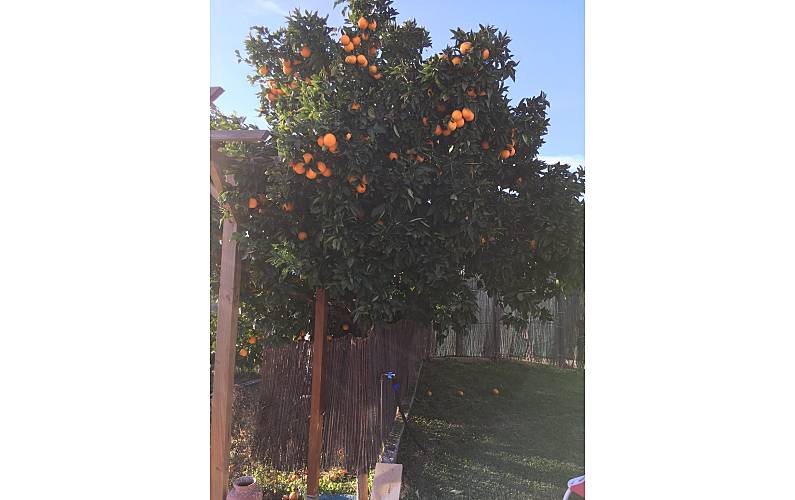 Casa Évora Montemor-o-Novo Villa rural - 