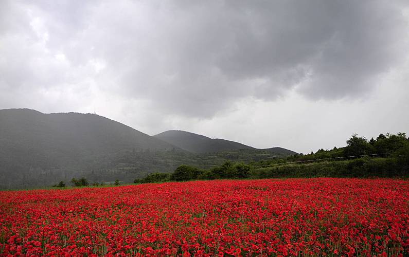 Casa Arredores Lérida Bellver de Cerdanya Casa rural - Arredores