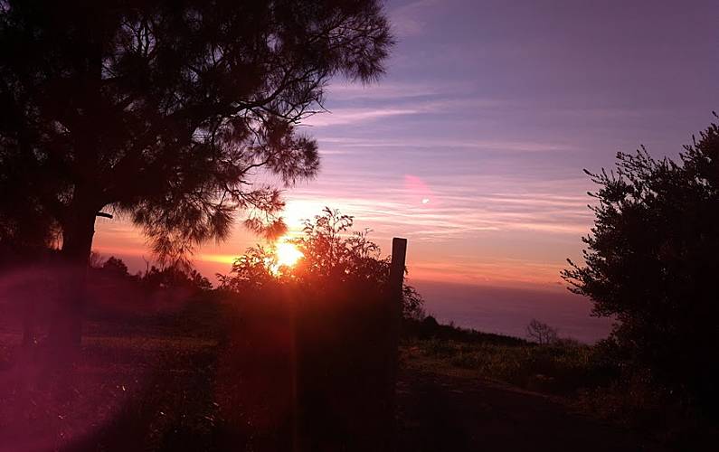 Apartamento Ilha da Madeira Calheta - R.A.M. Apartamento - 