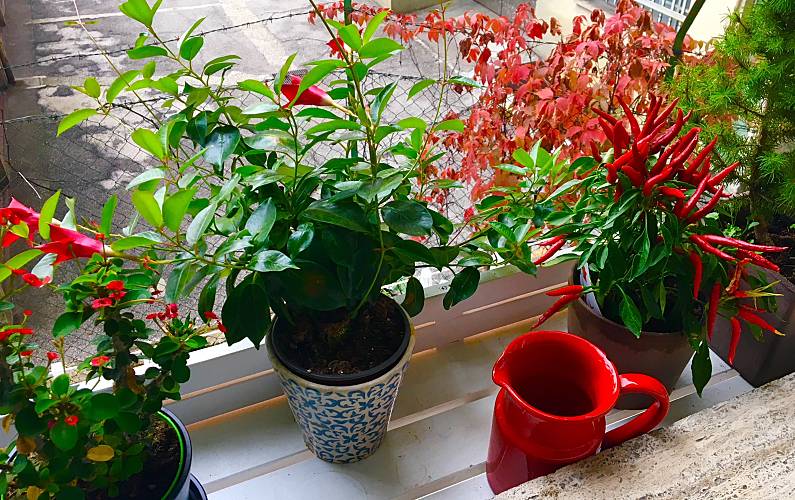 Apartamento Milão Milão Apartamento - 