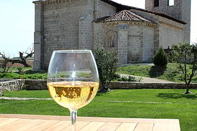 Complejo rural con piscina hasta 60 pers. Burgos