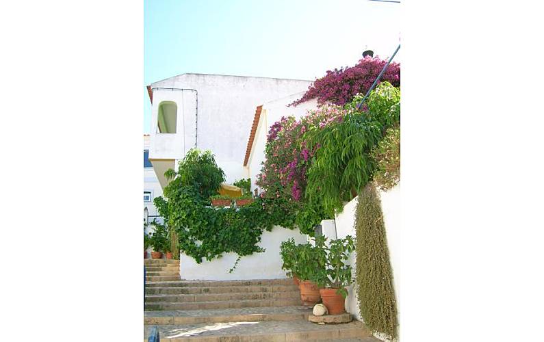 Pescador Arredores Algarve-Faro Lagoa Apartamento - Arredores