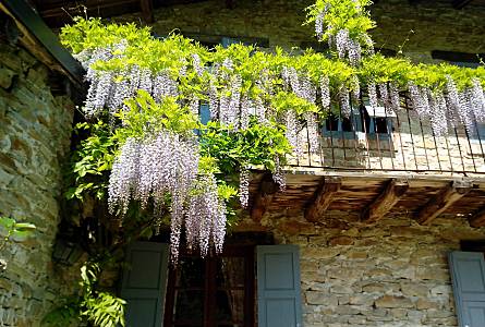 Casa Altro Alessandria Lerma Casa di campagna - Altro
