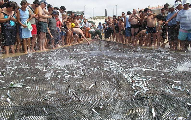 Apartamento Arredores Coimbra Mira Apartamento - Arredores