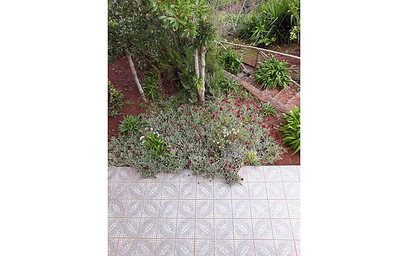 Casa Ilha da Madeira Santa Cruz Casa rural - 