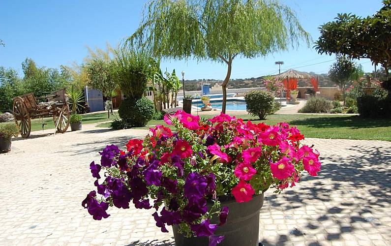 Casa Beja Ourique Casa rural - 