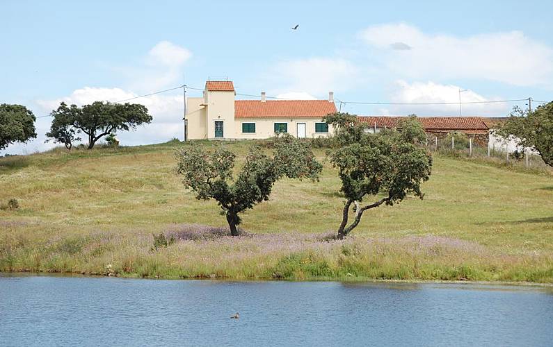 Casa Beja Ourique Casa rural - 