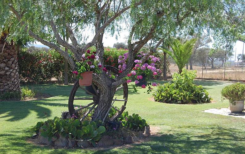 Casa Beja Ourique Casa rural - 