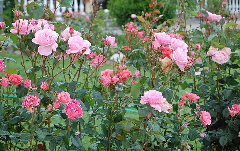 Casa Beja Ourique Casa rural - 