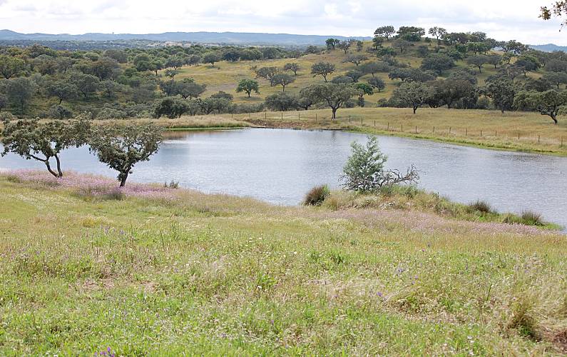 Casa Beja Ourique Casa rural - 