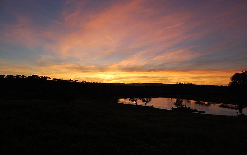 Casa Beja Ourique Casa rural - 