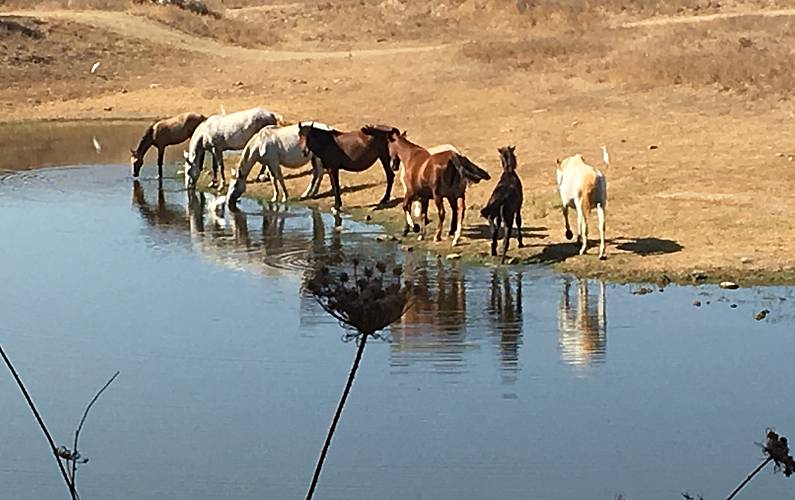 Casa Beja Ourique Casa rural - 
