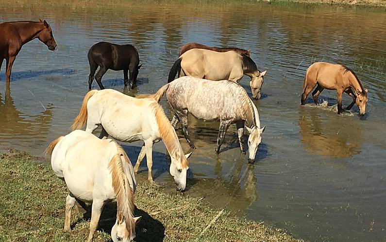 Casa Beja Ourique Casa rural - 