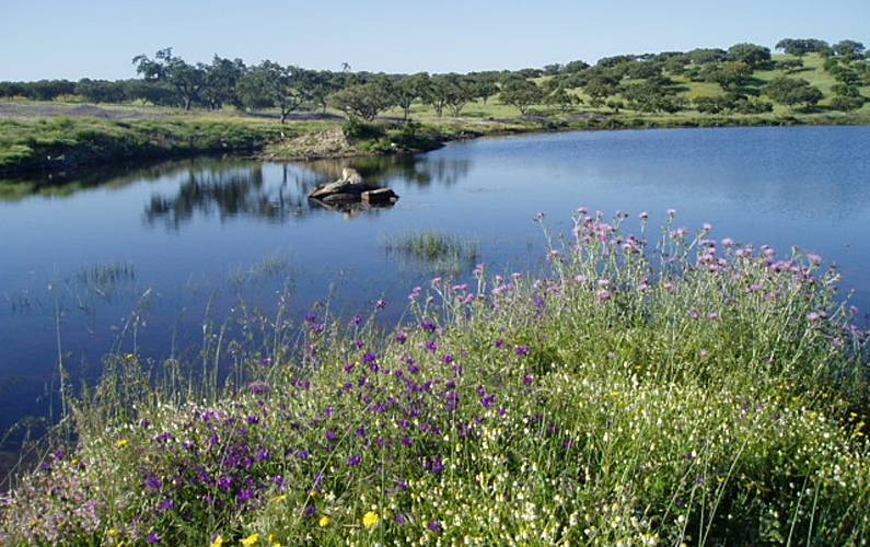 Casa Beja Ourique Casa rural - 