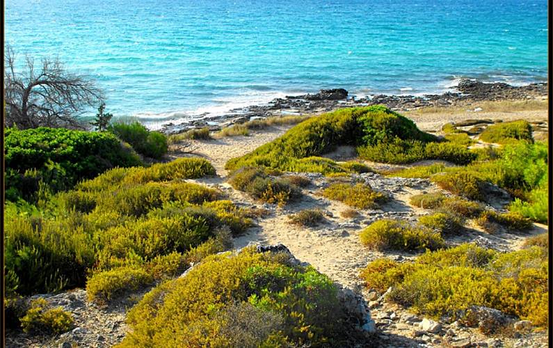 Apartamento Lecce Gallipoli Apartamento - 