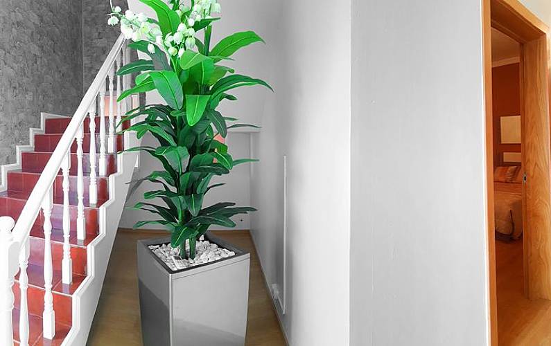 VIVENDA Interior da casa Ilha de São Miguel Ponta Delgada Villa rural - Interior da casa