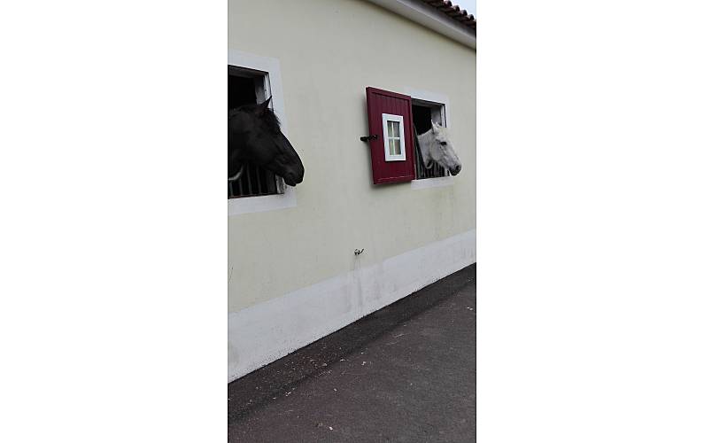 Apartamento Ilha de São Miguel Ponta Delgada Apartamento - 