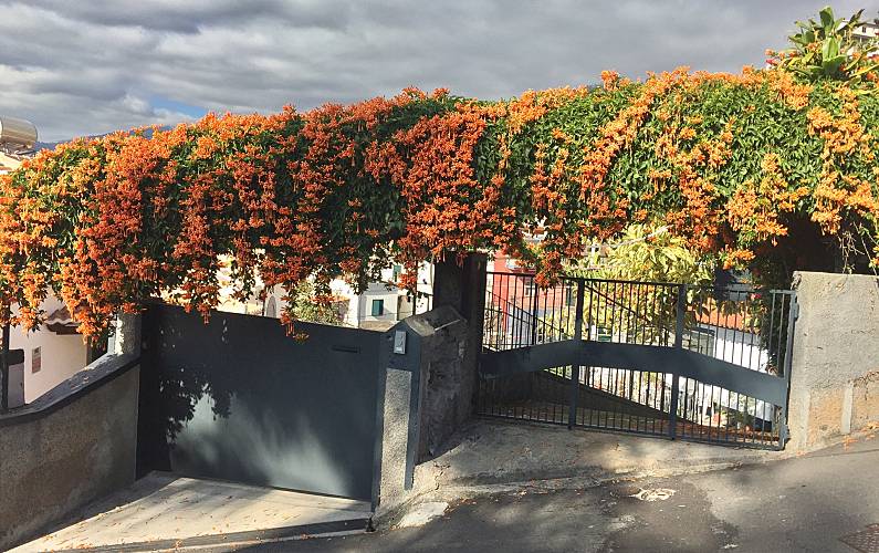 Apartamento Ilha da Madeira Funchal Apartamento - 