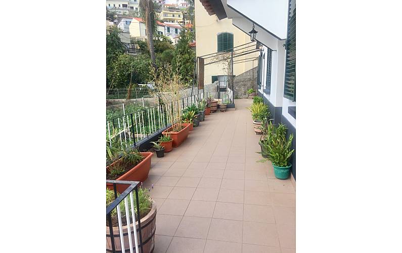 Apartamento Ilha da Madeira Funchal Apartamento - 