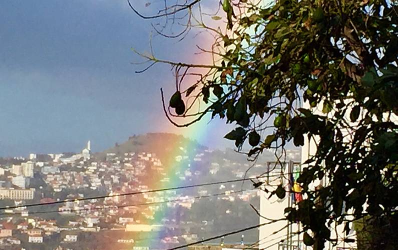 Apartamento Ilha da Madeira Funchal Apartamento - 