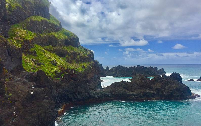 Apartamento Ilha da Madeira Funchal Apartamento - 