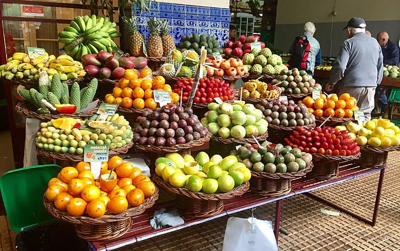 Apartamento Ilha da Madeira Funchal Apartamento - 