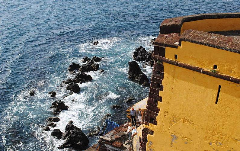 Apartamento Ilha da Madeira Funchal Apartamento - 