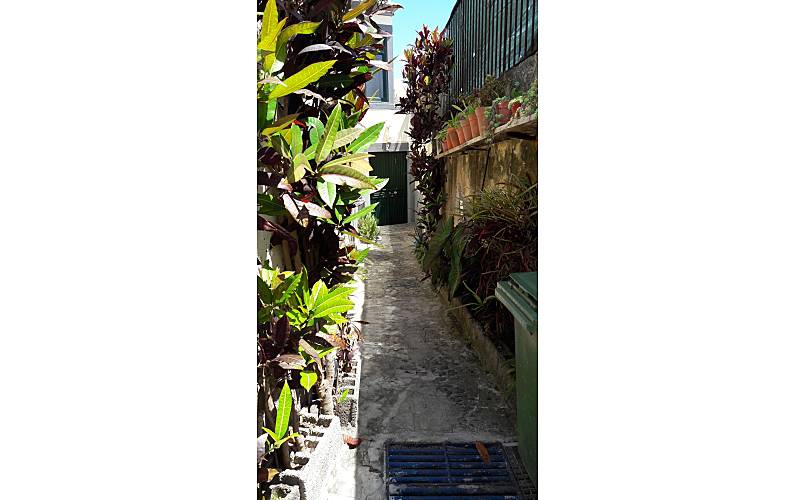 Apartamento Ilha da Madeira Funchal Apartamento - 