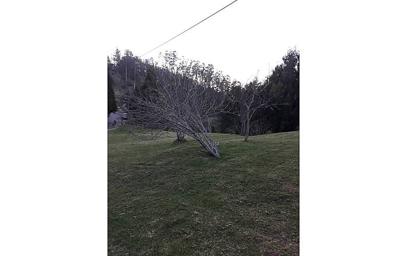 Casa Ilha da Madeira Santa Cruz Casa rural - 