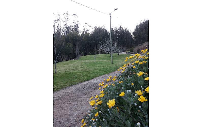 Casa Ilha da Madeira Santa Cruz Casa rural - 