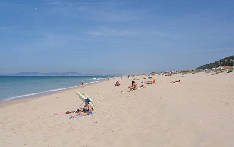 Moradia Arredores Setúbal Seixal vivenda - Arredores