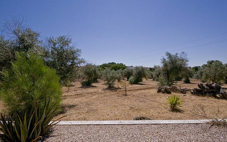 Casa Beja Vidigueira Casa rural - 