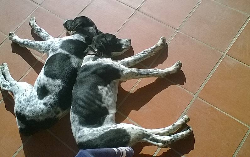 Vivenda Beja Alvito Villa rural - 