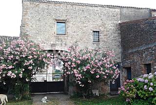 Cottage con 3 stanze e piscina - vicino Verona