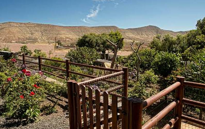 Vivenda Jardim Forteventura Puerto del Rosario Villa rural - Jardim