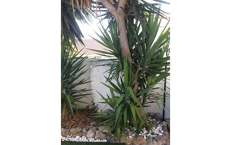 Vivenda Beja Moura Villa rural - 