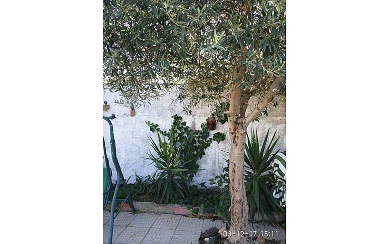 Vivenda Beja Moura Villa rural - 