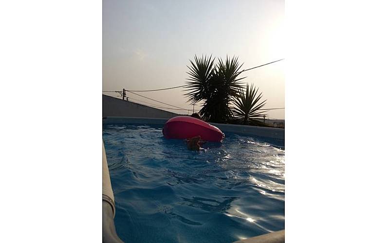 Vivenda Beja Moura Villa rural - 