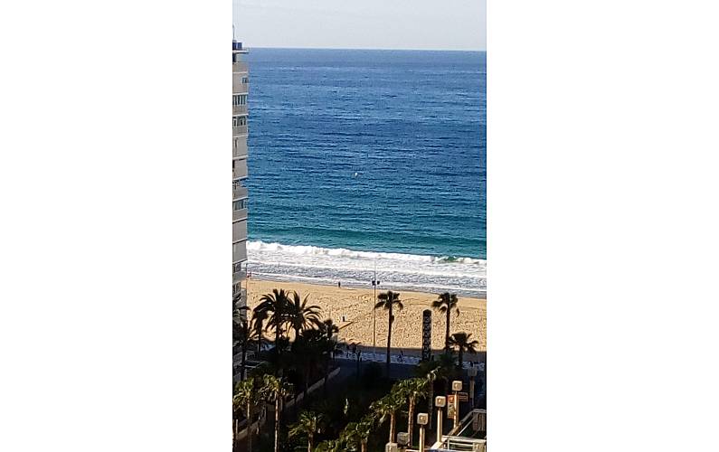 Apartamento Terraço Alicante Benidorm Apartamento - Terraço