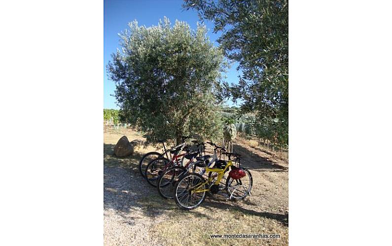 Monte Arredores Évora Arraiolos Casa rural - Arredores