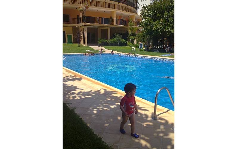 Appartamento Piscina Alicante Benidorm Appartamento - Piscina