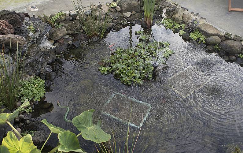 Casa Ilha Terceira Angra do Heroísmo Casa rural - 