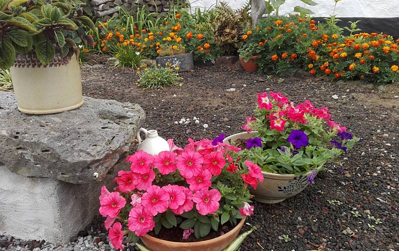 Casa Ilha Terceira Angra do Heroísmo Casa rural - 