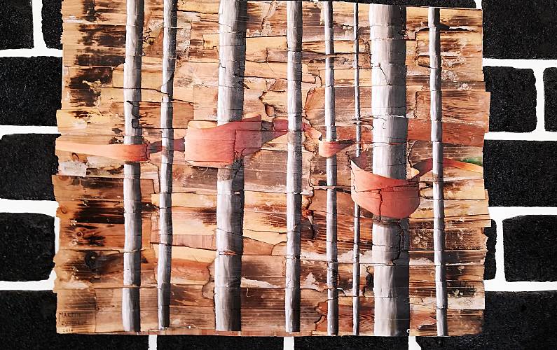 Family Interior da casa Ilha de São Miguel Ponta Delgada Vivendas - Interior da casa