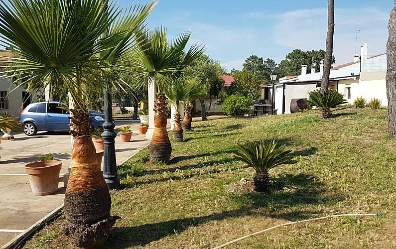 Apartamentos Huelva Lepe Vivendas - 