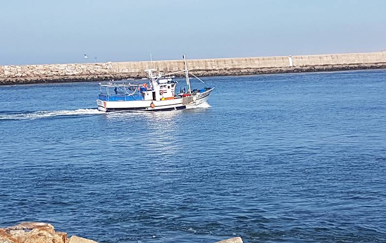 Apartamento Arredores Aveiro Ílhavo Apartamento - Arredores