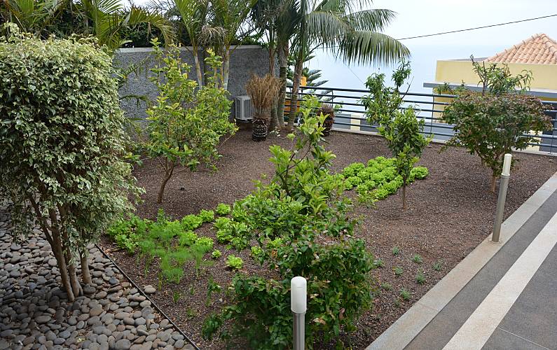 Vivenda Ilha da Madeira Funchal Casa rural - 