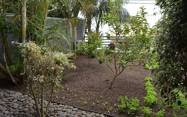 Vivenda Ilha da Madeira Funchal Casa rural - 